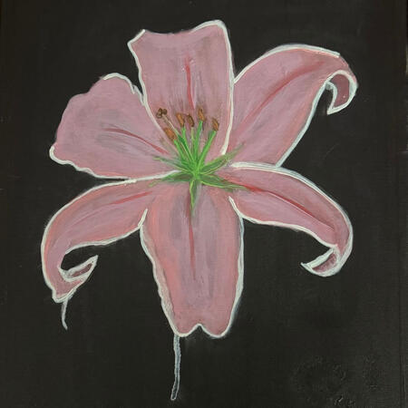 Pink Lily
